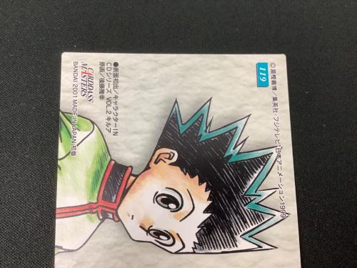 HUNTER×HUNTER (ハンター×ハンター) ゴン キルア カード 119