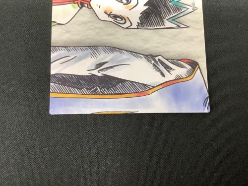 HUNTER×HUNTER (ハンター×ハンター) ゴン キルア カード 119