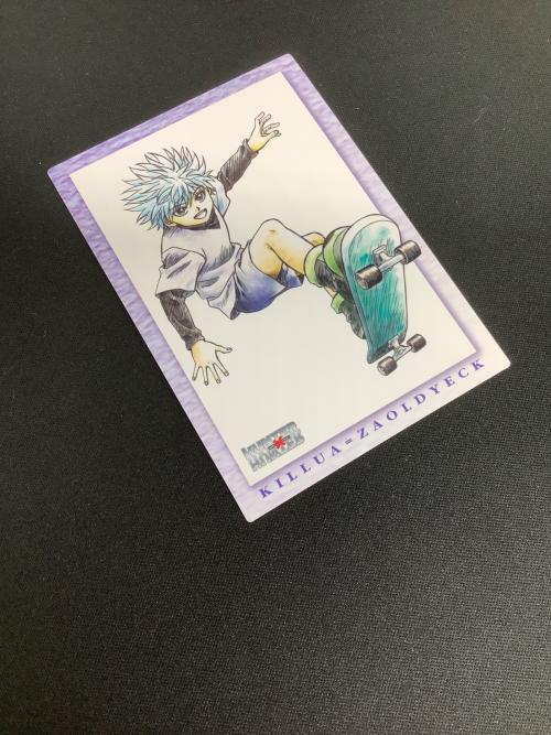 HUNTER×HUNTER (ハンター×ハンター) ゴン キルア カード 119