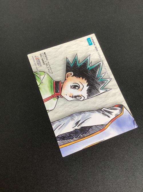 HUNTER×HUNTER (ハンター×ハンター) ゴン キルア カード 119