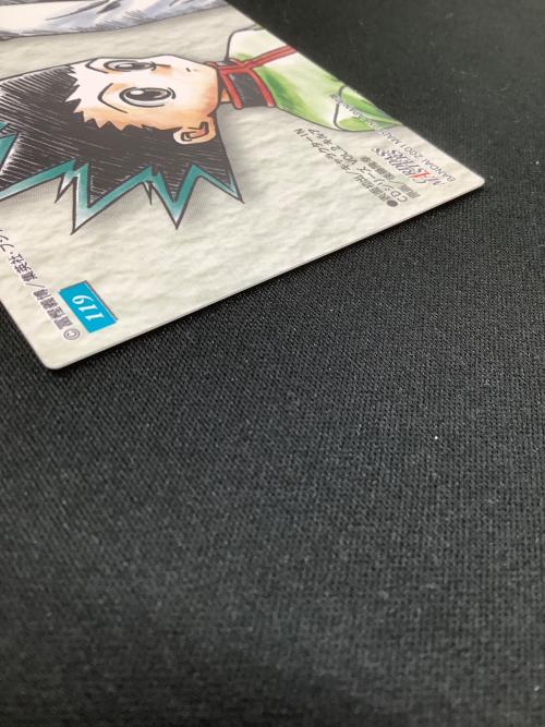 HUNTER×HUNTER (ハンター×ハンター) ゴン キルア カード 119