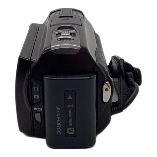 SONY (ソニー) ビデオカメラ HDR-CX560V