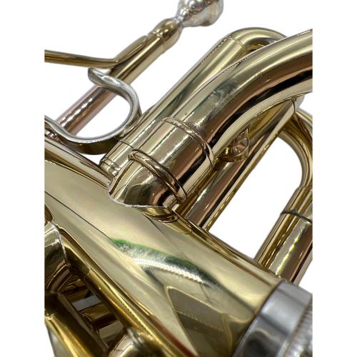 J.Michael (Ｊマイケル) トランペット @