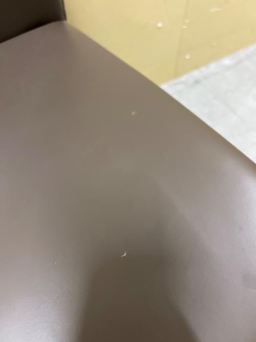 CALLIGARIS (カリガリス) ダイニングチェアー 1484 Aida Plus