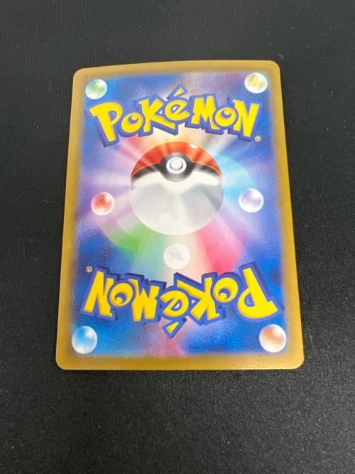 Nのゾロアーク EX ポケモンカード 127/100 SAR