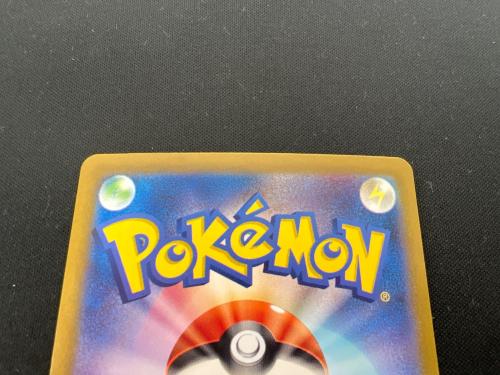 Nのゾロアーク EX ポケモンカード 127/100 SAR