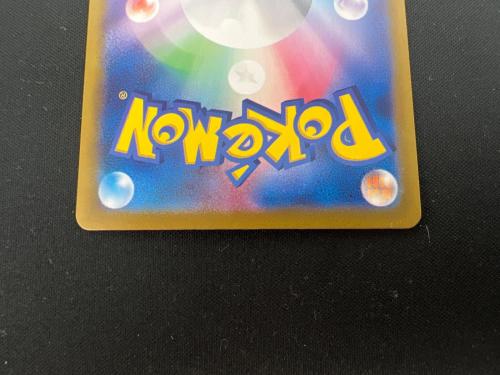 Nのゾロアーク EX ポケモンカード 127/100 SAR