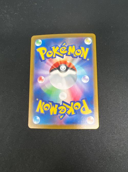 Nのゾロアーク EX ポケモンカード 127/100 SAR