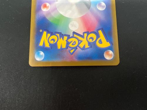 Nのゾロアーク EX ポケモンカード 127/100 SAR