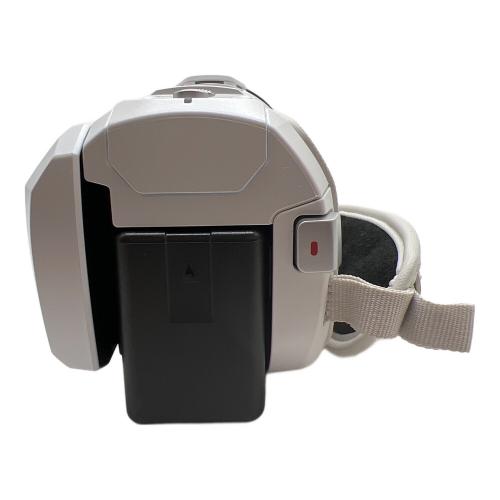 Panasonic (パナソニック) デジタル4Kビデオカメラ HC-VX1M