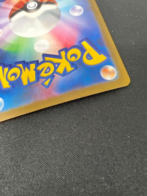 エリカの招待 ポケモンカード 206/165 SAR