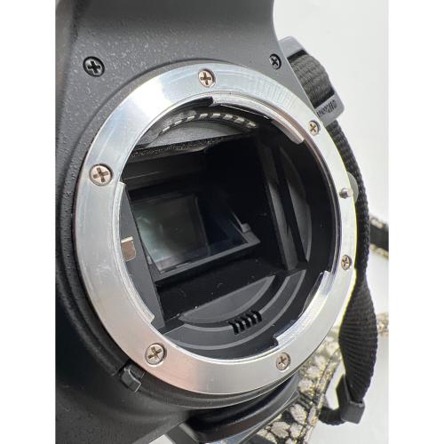Nikon (ニコン) 一眼レフカメラ D5300