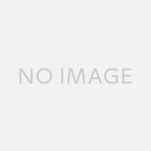 Panasonic (パナソニック) ドラム式洗濯乾燥機 NA-VX900BR 2021年製 235