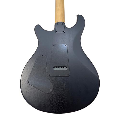 Paul Reed Smith (ポール リード スミス) Swamp Ash エレキギター SE CE24 2024年製 @
