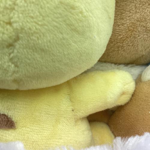 ポケモン シーズンピカチュウ＆イーブイ 冬 ヌイグルミ