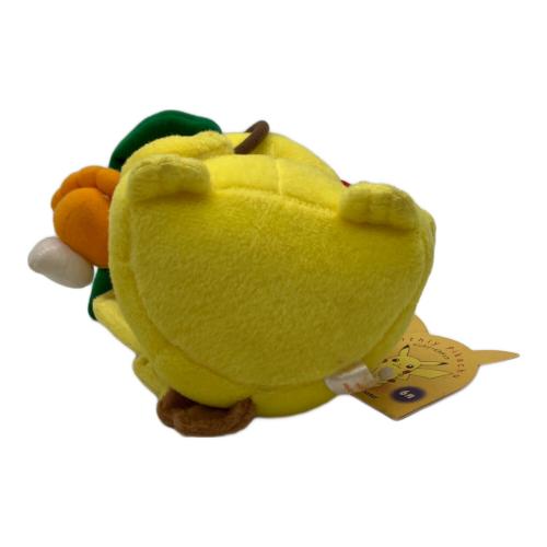 Pokemon Center (ポケモンセンター) マンスリーピカチュウ ヌイグルミ 2005年6月 @