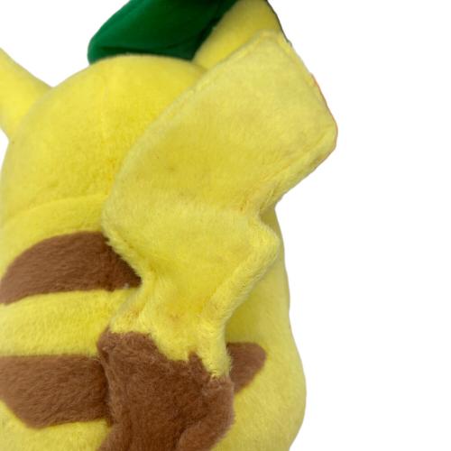 Pokemon Center (ポケモンセンター) マンスリーピカチュウ ヌイグルミ 2005年6月 @