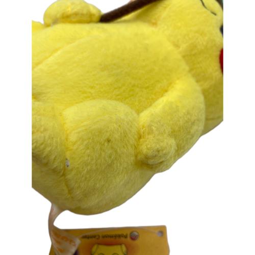 Pokemon Center (ポケモンセンター) マンスリーピカチュウ ヌイグルミ 2005年6月 @