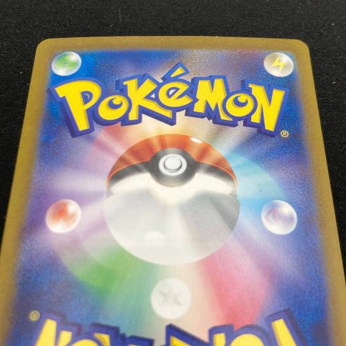 ポケモンカード エリカの招待 206/165 SAR