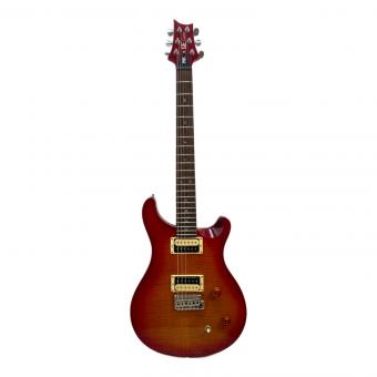 PRS (ピーアールエス) エレキギター SE CUSTOM 24 動作確認済み H01947