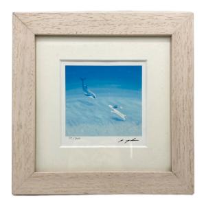 葉祥明 アートフレーム ジェイクとドルフィン 75/800