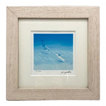 葉祥明 アートフレーム ジェイクとドルフィン 75/800