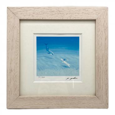 カテゴリ：絵画・版画・アートフレーム｜在庫：あり】商品一覧｜中古