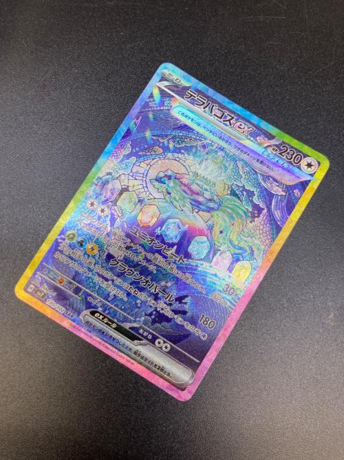 テラパゴスex ポケモンカード 130/102 SAR