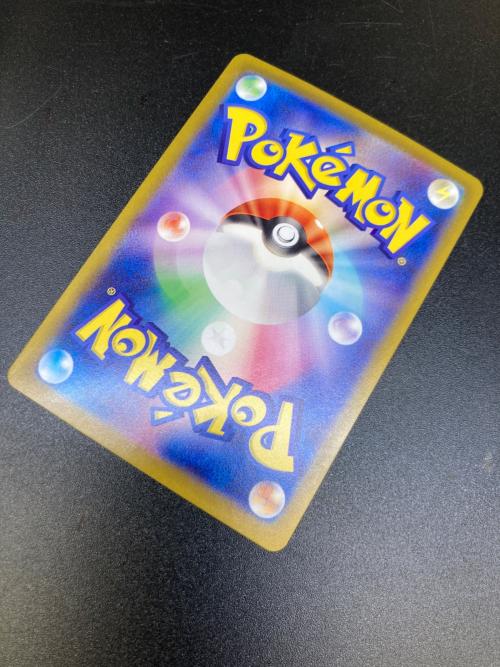 テラパゴスex ポケモンカード 130/102 SAR