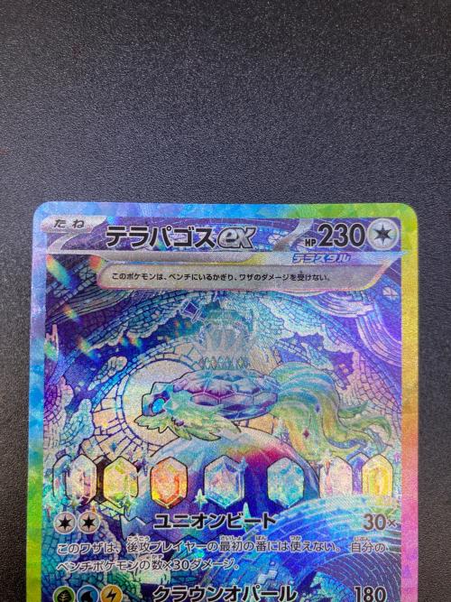 テラパゴスex ポケモンカード 130/102 SAR