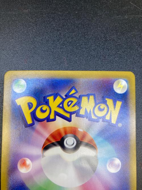 テラパゴスex ポケモンカード 130/102 SAR