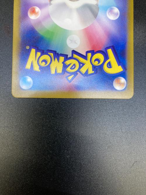 テラパゴスex ポケモンカード 130/102 SAR