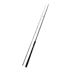 ZENAQ(ゼナック) スピニングリール ロッド(釣竿) PLAISIR ANSWER PA93-cast master