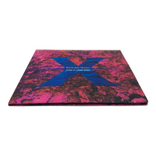 X JAPAN 東京ドームライブ『破滅に向かって』LP型パンフレット
