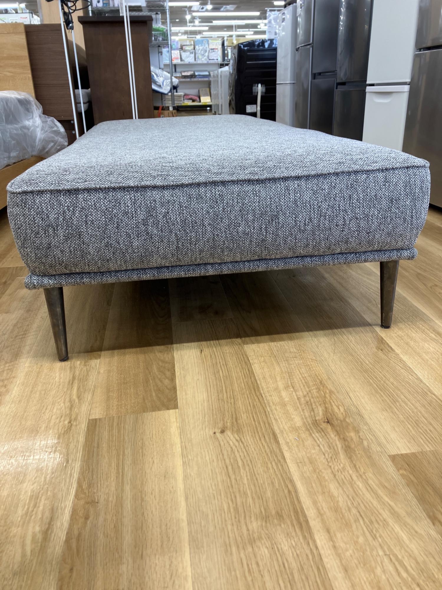 FRANCE BED (フランスベッド) FREEing(フリーイング) デイベッド