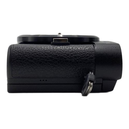 Panasonic (パナソニック) デジタル一眼レフカメラ LUMIX DC-GF10W