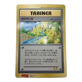 映画「ピカチュウたんけんたい」 スペシャルジャンボカード《ポケモン谷》 ポケモンカード コロコロコミック別冊付録