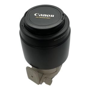 CANON (キャノン) ズームレンズ EF100-400mm F4.5-5.6L IS USM @ Π