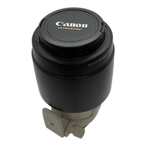 CANON (キャノン) ズームレンズ EF100-400mm F4.5-5.6L IS USM @ Π
