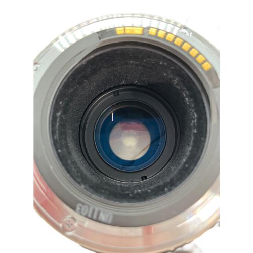 CANON (キャノン) ズームレンズ EF100-400mm F4.5-5.6L IS USM @ Π