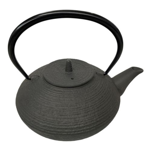 南部鉄器 (ナンブテッキ) 急須 運南堂