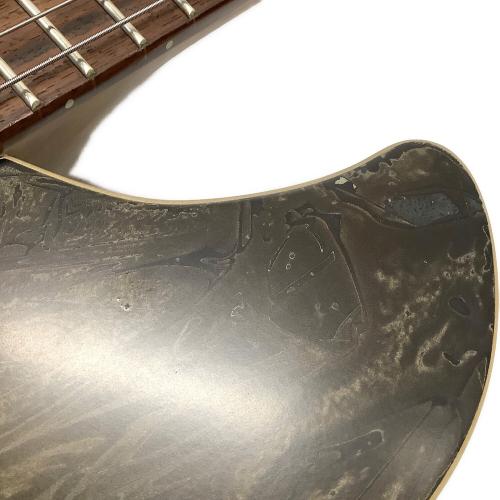 Sago New Material Guitars (サゴ・ニューマテリアルギターズ) curious