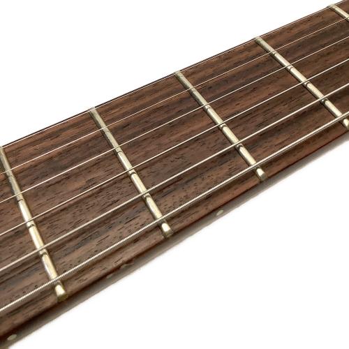 Sago New Material Guitars (サゴ・ニューマテリアルギターズ) curious