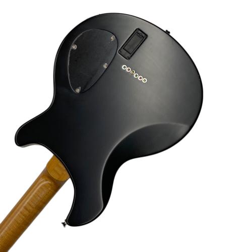 Sago New Material Guitars エレキギター @ レフティモデル curious RS16112401