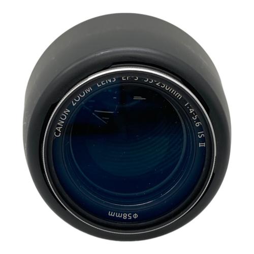 CANON (キヤノン) ズームレンズ EF-S 55-250mm｜トレファクONLINE