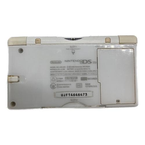 Nintendo (ニンテンドー) ニンテンドーDS Lite USG-001