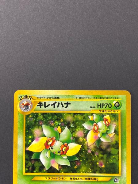 キレイハナ Lv.36 ポケモンカード No.182 旧裏面｜トレファクONLINE