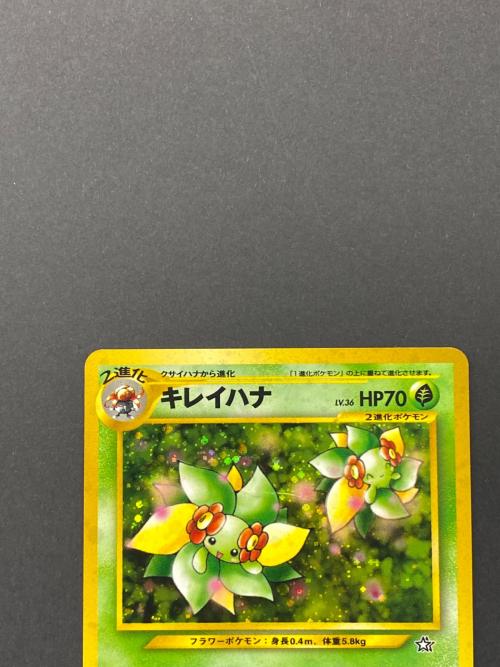 キレイハナ Lv.36  No.182 旧裏面　ポケモンカード　