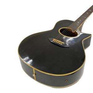 Tokai (トーカイ) アコースティックギター TEA-80D @