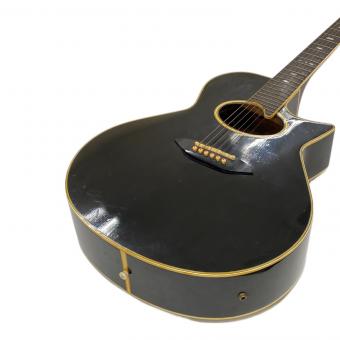 Tokai (トーカイ) アコースティックギター TEA-80D @